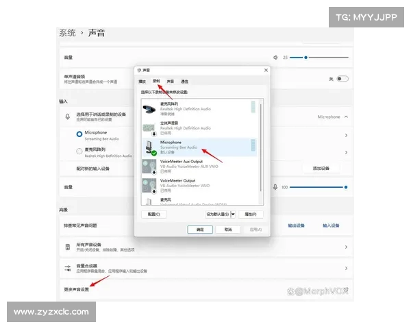 探索MorphVox Pro的语音变换功能及其应用潜力解析 探索MorphVox Pro的语音变换功能及其应用潜力解析